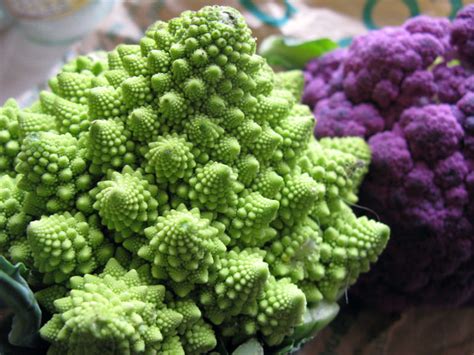 cauliflower varieties.